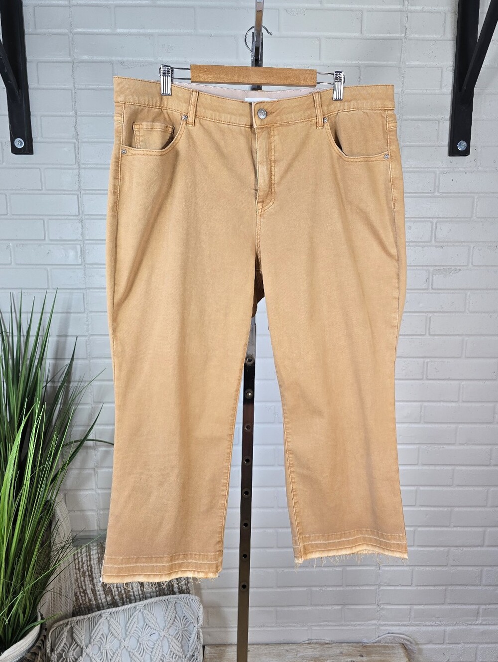 Tribal Jeans Brown High Rise Crop Jeans Size 20W